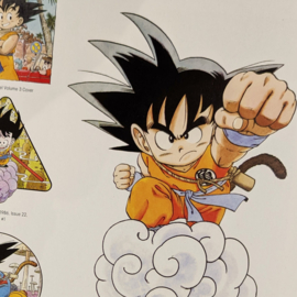 Dragon Ball - A Visual History