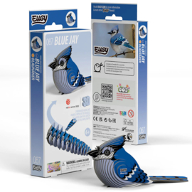Eugy - Blue Jay
