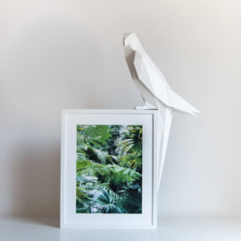OWL Paperlamps - Parrot Cotton White