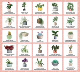 Plant Bingo - A Game for Green Thumbs