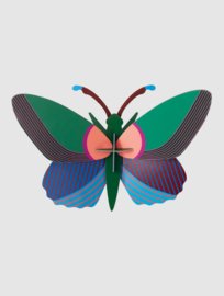 Studio ROOF - Acacia Butterfly