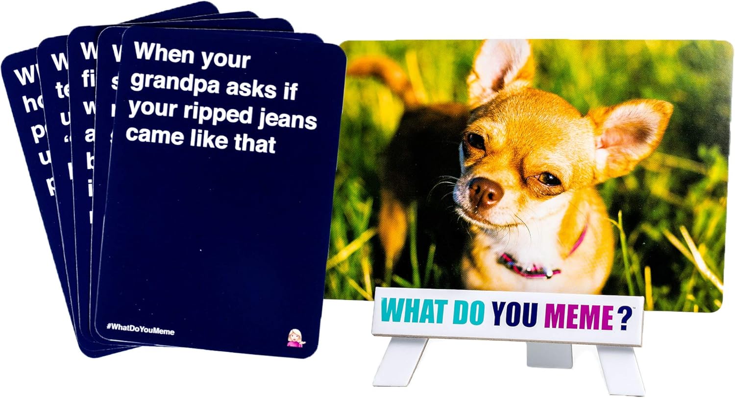 What Do You Meme? - Basic Bitch Pack (Expansion)