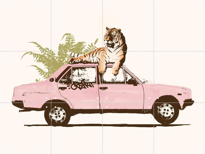 IXXI - Tiger on Car (40x30cm, 12 kaarten)