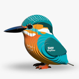 Eugy - Kingfisher