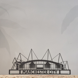 Shapelab - Manchester City / Etihad Stadium (25cm)