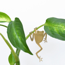 Another Studio - Plant Animal Frog