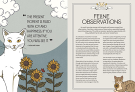 Mystic Kitty - A Cat's Guide to Meditation