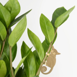 Another Studio - Plant Animal Bush Baby