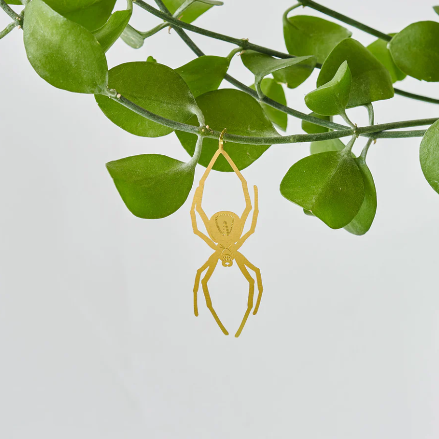 Another Studio - Plant Animal Spider