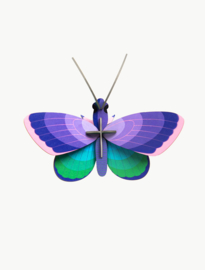Studio ROOF - Blue Copper Butterfly