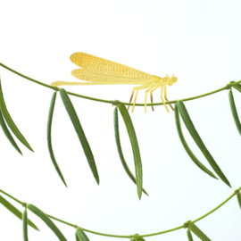 Another Studio - Plant Animal Damselfly