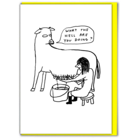David Shrigley - What The Hell