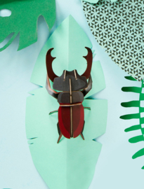 Studio ROOF - Stag Beetle