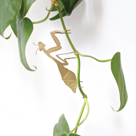 Another Studio - Plant Animal Praying Mantis