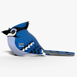 Eugy - Blue Jay