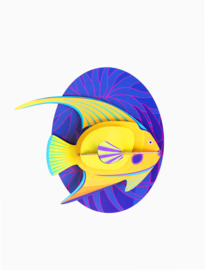 Studio ROOF - Yellow Angelfish