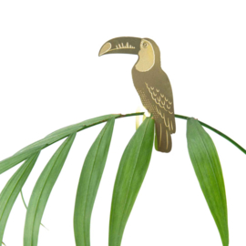 Another Studio - Plant Animal Toucan