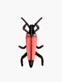 Studio ROOF - Longhorn Beetle