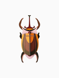 Studio ROOF - Elephant Beetle