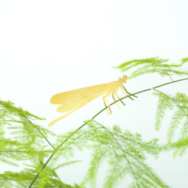 Another Studio - Plant Animal Damselfly