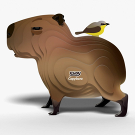 Eugy - Capybara