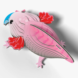 Eugy - Axolotl