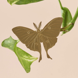 Another Studio - Plant Animal Lunar Moth