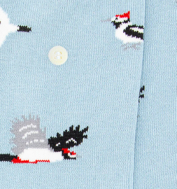 Alfredo Gonzales Sokken - Woodpeckers