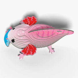 Eugy - Axolotl