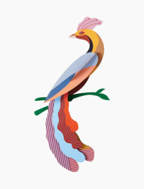 Studio ROOF - Paradise Bird - Nusa