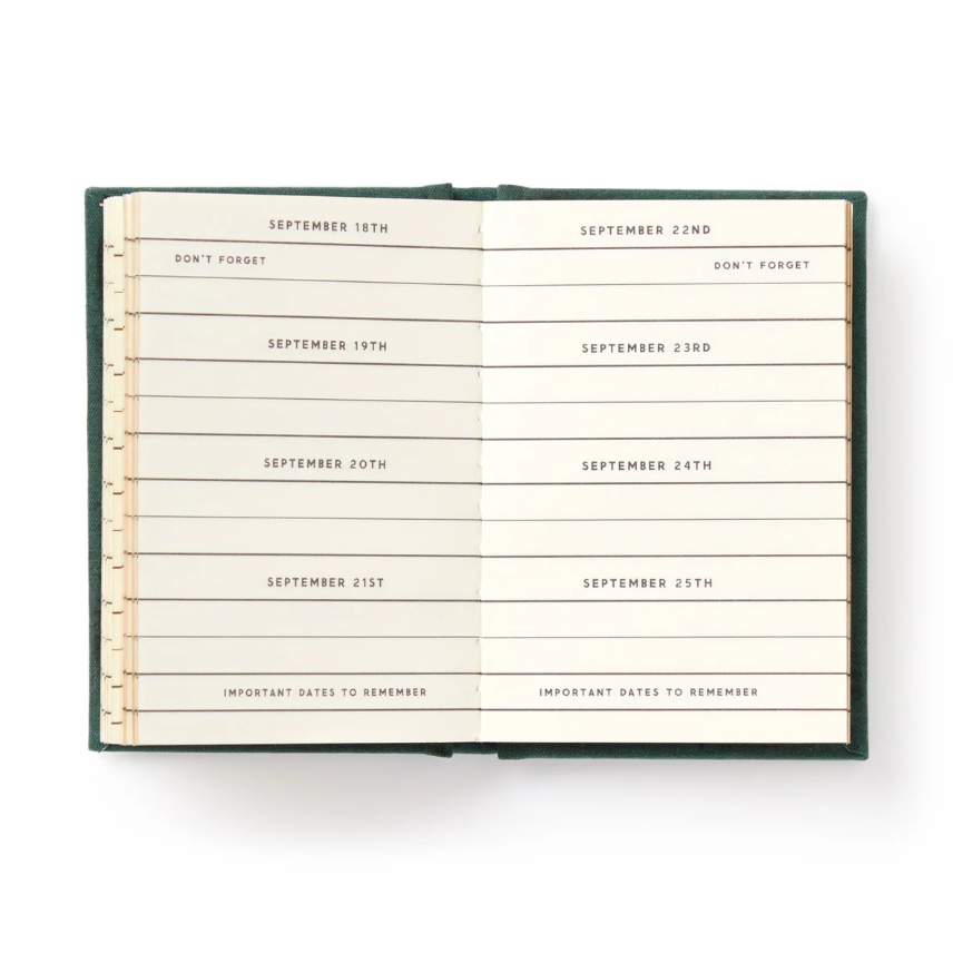 Brass Monkey - Tiny Diary - Dates People Get Mad If I Forget