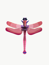 Studio ROOF - Ruby Dragonfly
