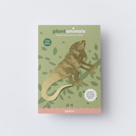 Another Studio - Plant Animal Iguana (Large Edition)