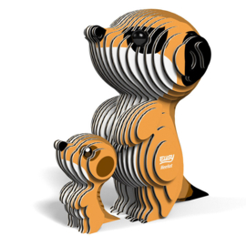 Eugy - Meerkat