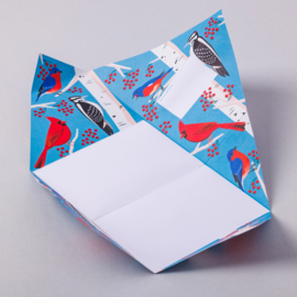 Pigeon - Carnival of Colour - Pack of 6