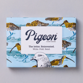 Pigeon - Hebridean - Pack of 6