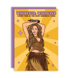 Studio Soph - Whenever Wherever Shakira