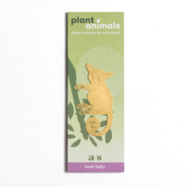 Another Studio - Plant Animal Bush Baby