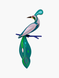 Studio ROOF - Paradise Bird - Fiji