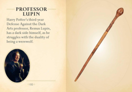 Harry Potter - Mini Book Trunk