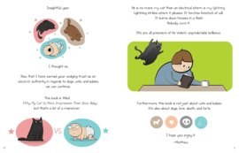 Why My Cat Is More Impressive Than Your Baby