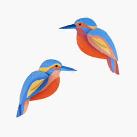 Studio ROOF - Kingfishers
