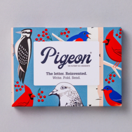 Pigeon - Carnival of Colour - Pack of 6