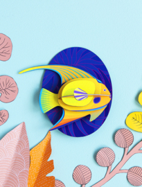 Studio ROOF - Yellow Angelfish