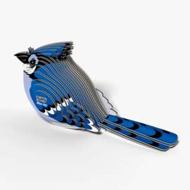 Eugy - Blue Jay