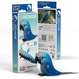 Eugy - Spix's Macaw
