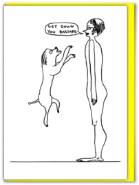 David Shrigley - Get Down You Bastard