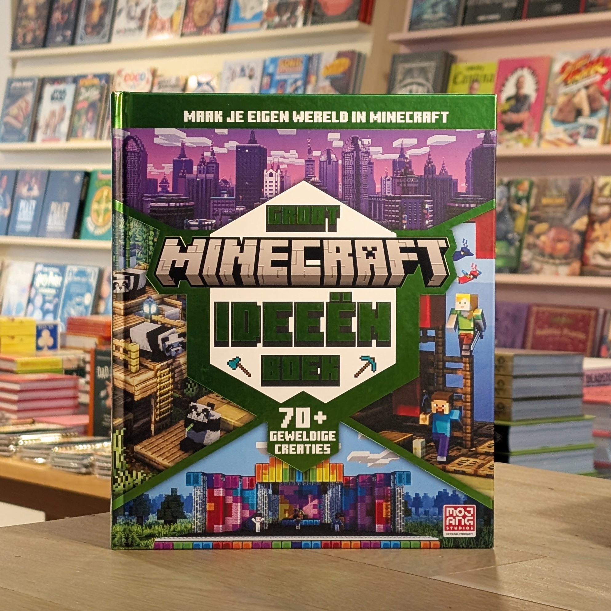 Groot Minecraft ideeën boek