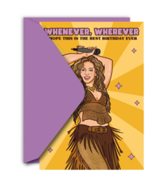 Studio Soph - Whenever Wherever Shakira