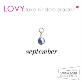 LOVY Swarovski geboortesteen 6 MM